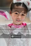 ref. photo 3329394