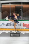 ref. photo 3333022