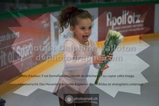ref. photo 3333493