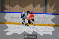 ref. photo 3539000