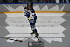 ref. photo 3539009