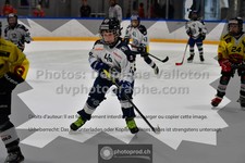 ref. photo 3539012