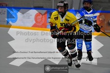 ref. photo 3539092