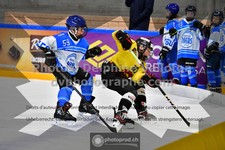 ref. photo 3539094