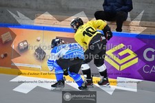 ref. photo 3539095