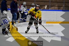 ref. photo 3539101
