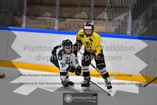 ref. photo 3539105