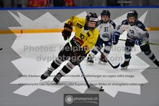 ref. photo 3539108