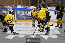 ref. photo 3539110