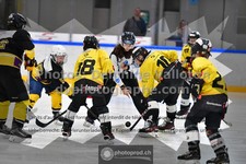 ref. photo 3539111