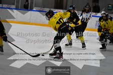 ref. photo 3539113
