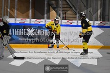 ref. photo 3539114