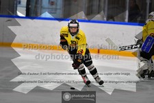 ref. photo 3539115