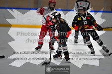 ref. photo 3539119