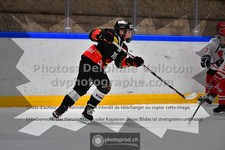 ref. photo 3539120