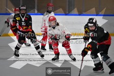 ref. photo 3539122