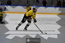 ref. photo 3539123