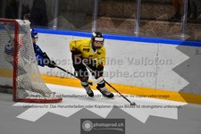 ref. photo 3539125