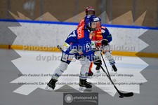 ref. photo 3539204