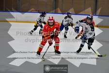 ref. photo 3539396