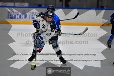 ref. photo 3539414