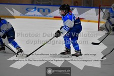 ref. photo 3539454