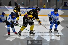ref. photo 3539471