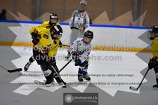 ref. photo 3539522