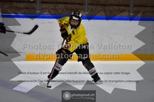 ref. photo 3539525