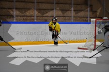 ref. photo 3539528