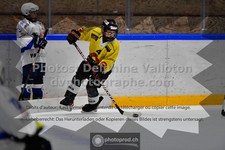 ref. photo 3539530