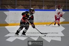 ref. photo 3539552