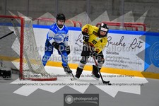 ref. photo 3539614
