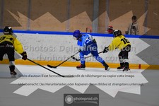 ref. photo 3539620