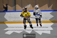 ref. photo 3539621