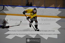 ref. photo 3539624
