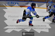 ref. photo 3539642