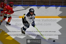 ref. photo 3539681