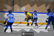 ref. photo 3539729