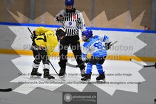 ref. photo 3539730