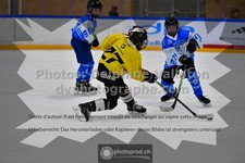 ref. photo 3539731