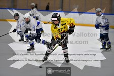 ref. photo 3539735