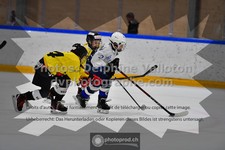 ref. photo 3539901
