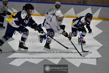 ref. photo 3539910