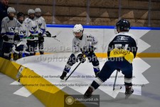 ref. photo 3539911