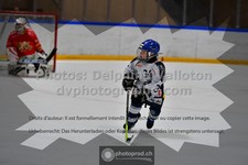 ref. photo 3539947