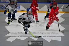 ref. photo 3539949