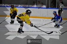 ref. photo 3539980