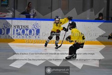ref. photo 3539992