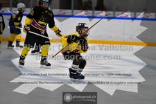 ref. photo 3539994